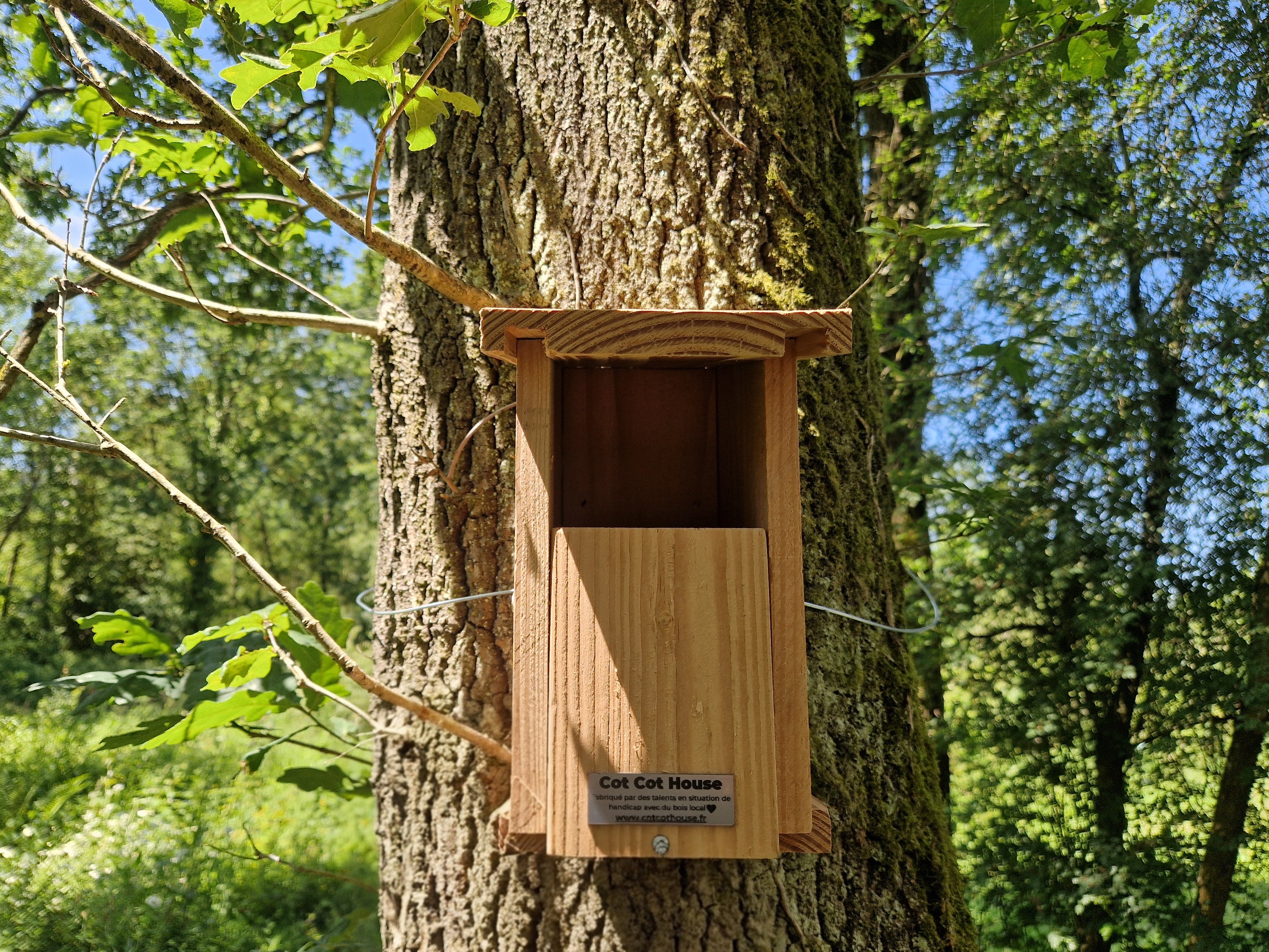 Cot Cot House Nichoir oiseaux kit rouge-gorge bois à monter