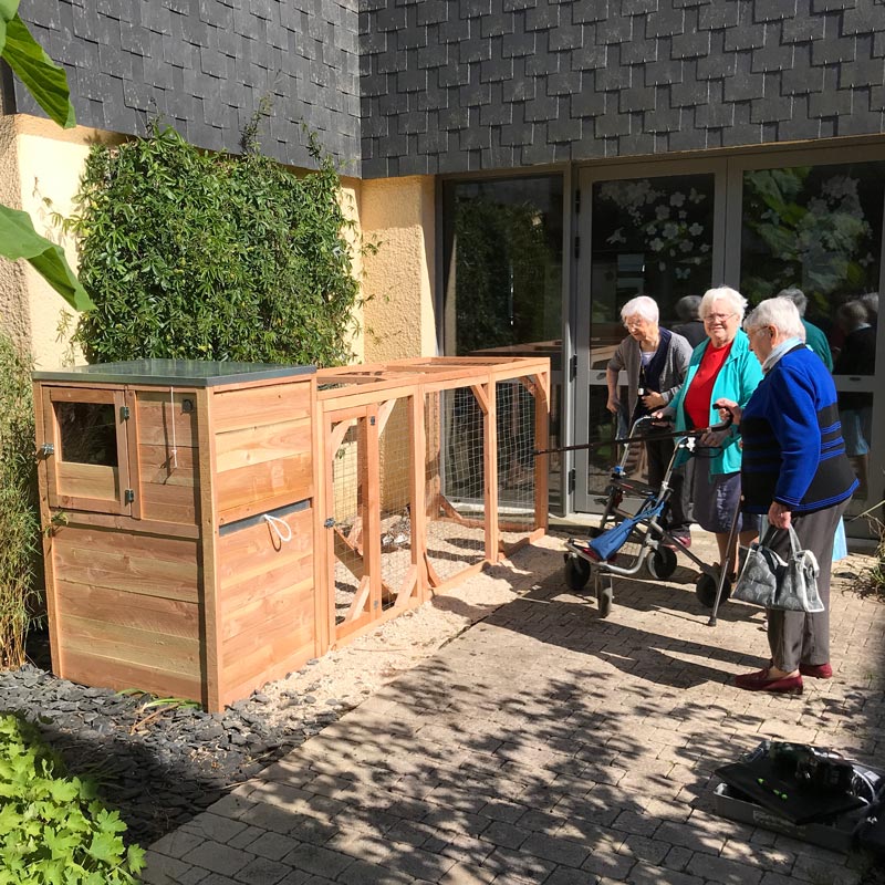 Cot Cot House Poulaillers Houdan CONFORT poulailler 4 poules