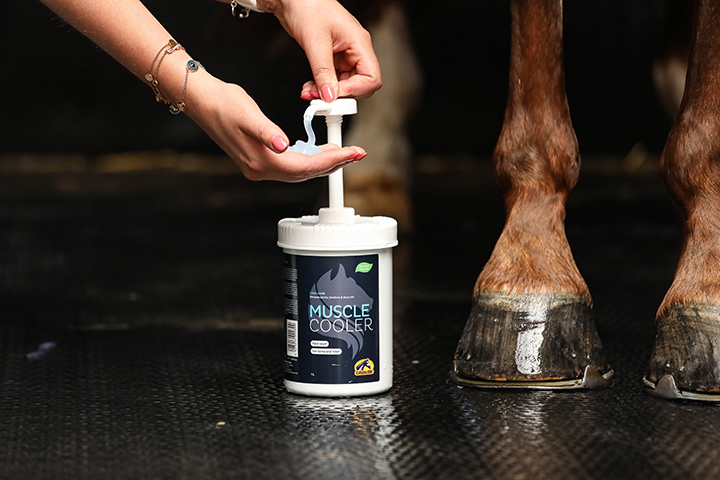 Cavalor Care Muscle Cooler gel cheval muscles