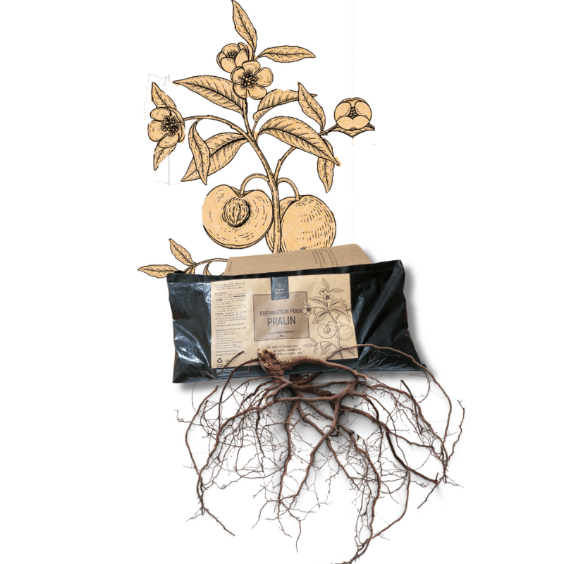 Cot Cot House Potager pralin lombricompost 1 kg baume racinaire