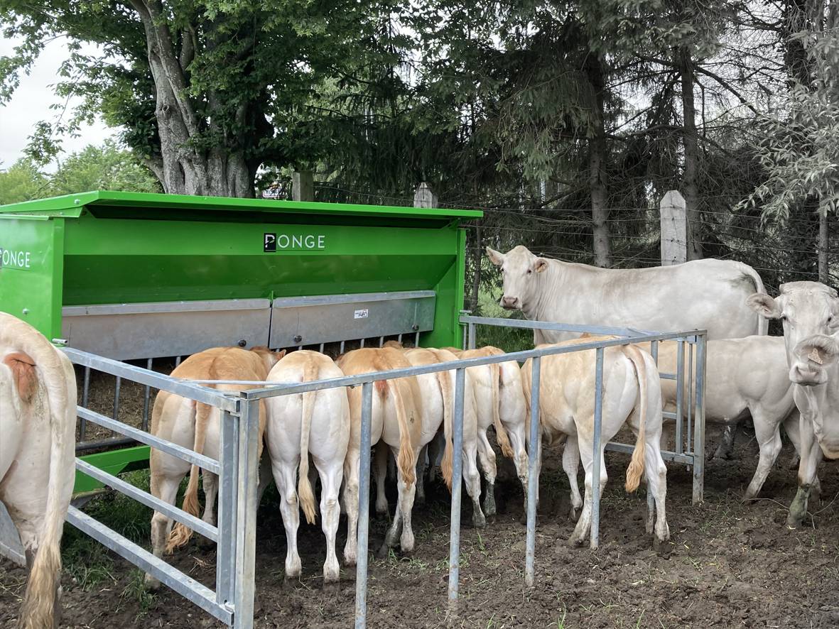 Ponge Nourrisseur bovins granulés fibres 625 à 3000 L