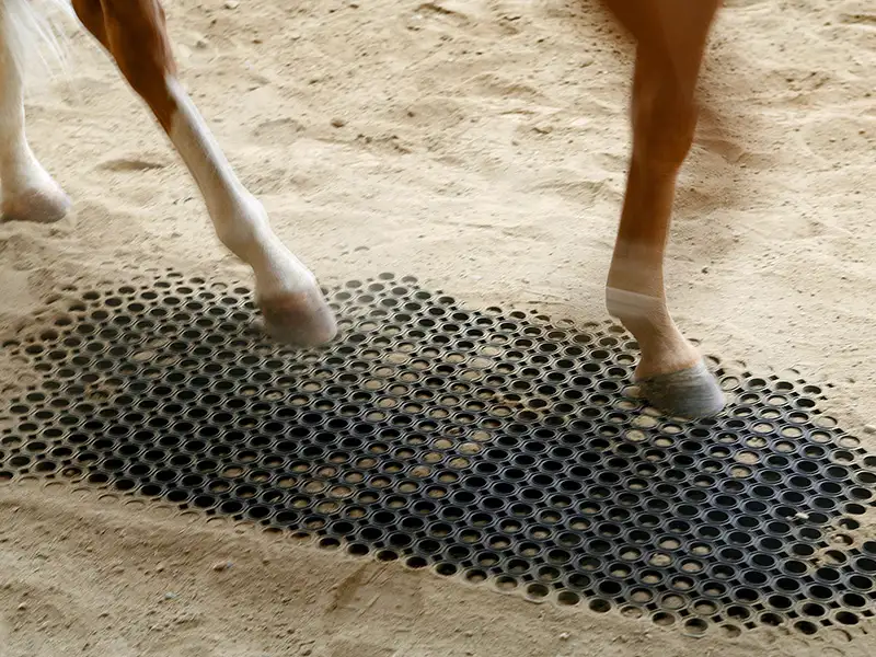 IDS M25 M69 grille marcheur cheval caoutchouc 22 mm