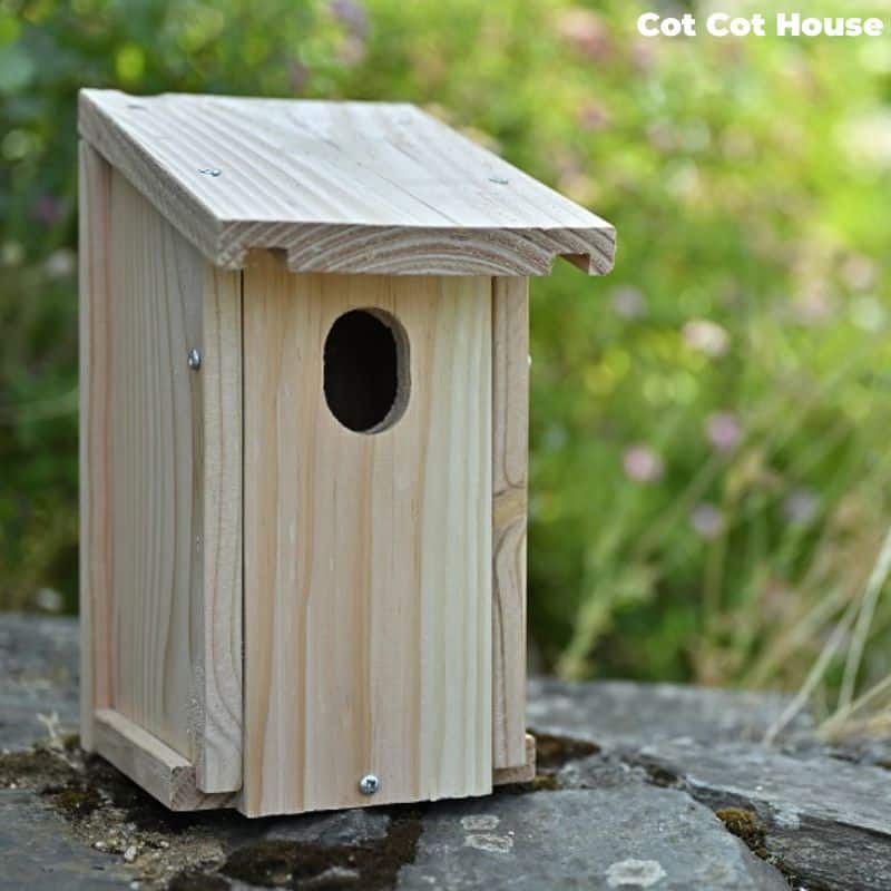 Cot Cot House nichoir oiseaux kit Rouge-Queue bois