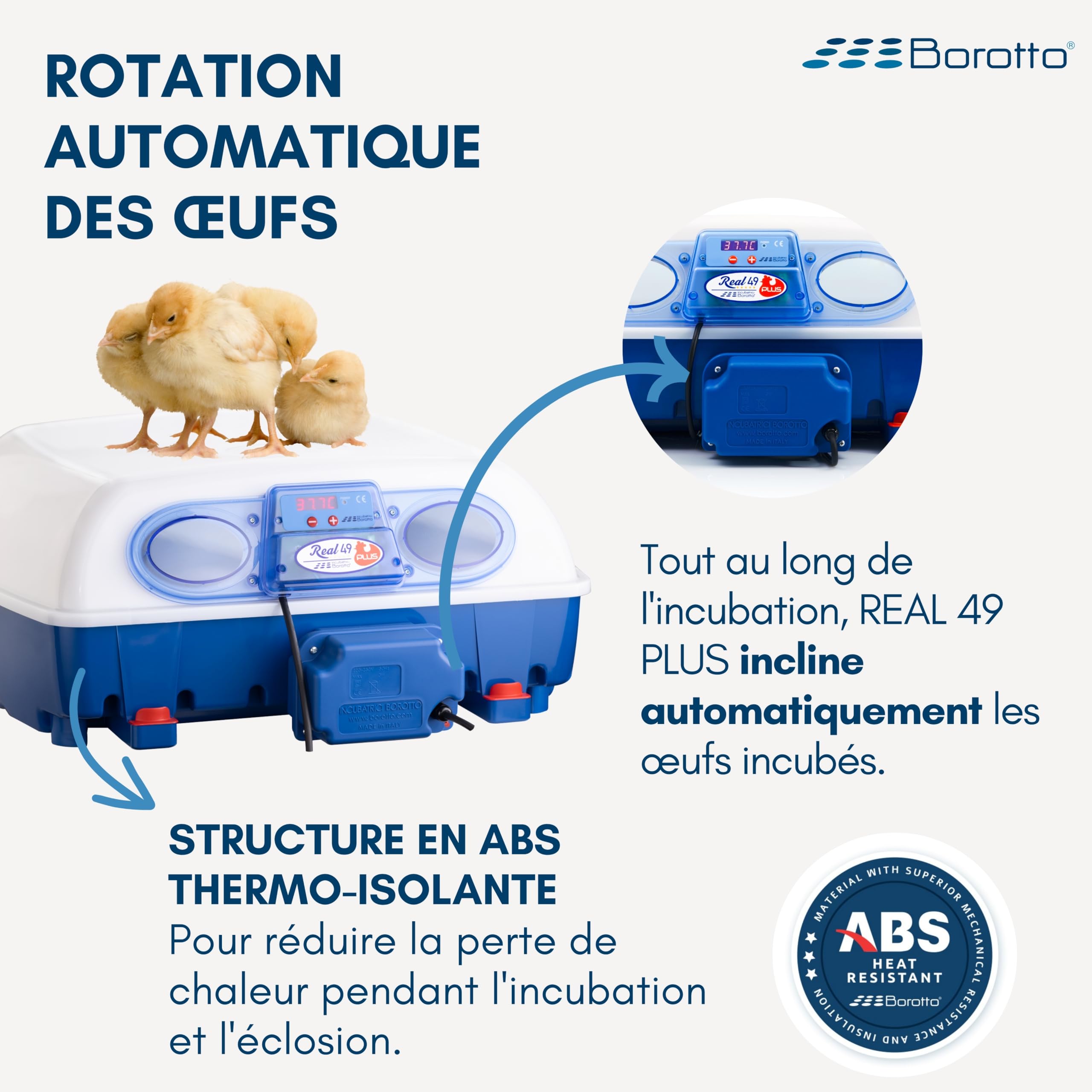 Borotto Real 49 Plus Expert couveuse 49 œufs Sirio bleue