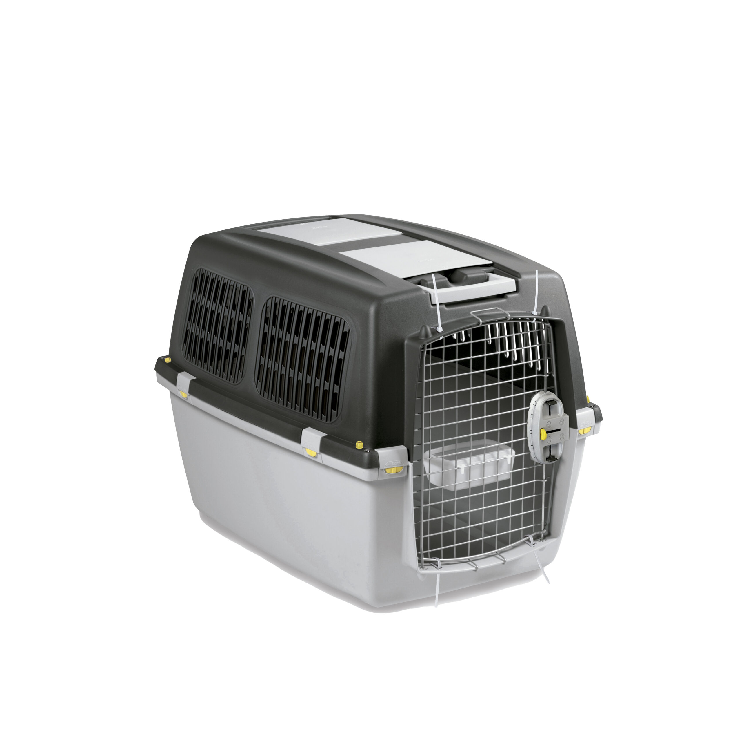 Gaun Bullterrier caisse transport chien moyen IATA