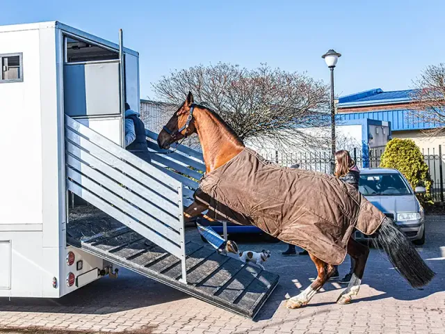 IDS RAMP tapis pont van chevaux à la coupe antidérapant