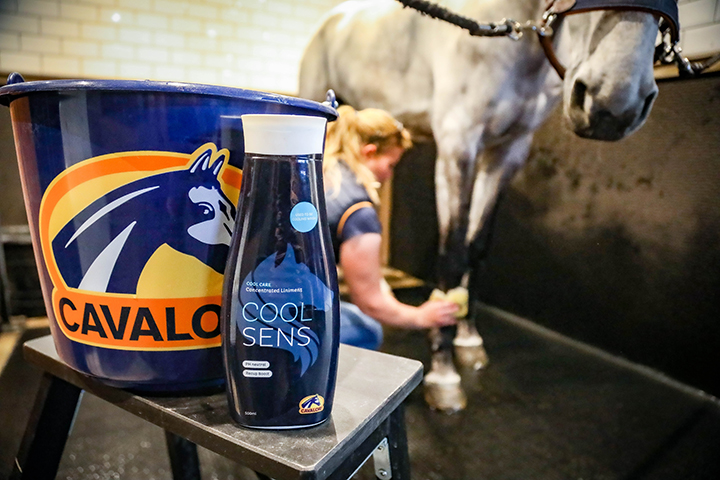 Cavalor CoolSens soin cheval rafraîchissant 500 ml