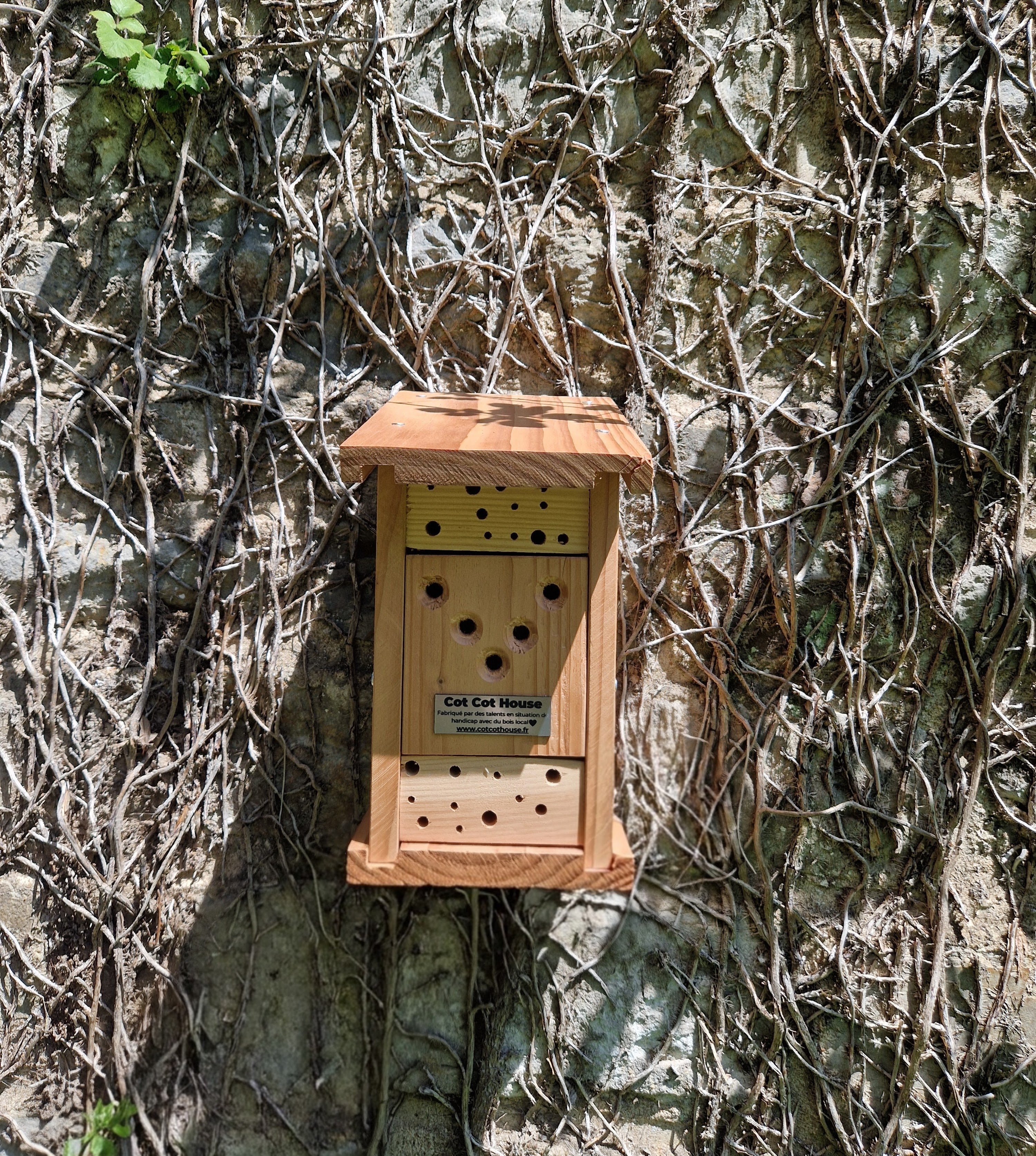 Cot Cot House Hôtel à insectes kit auxiliaires abeilles solitaires