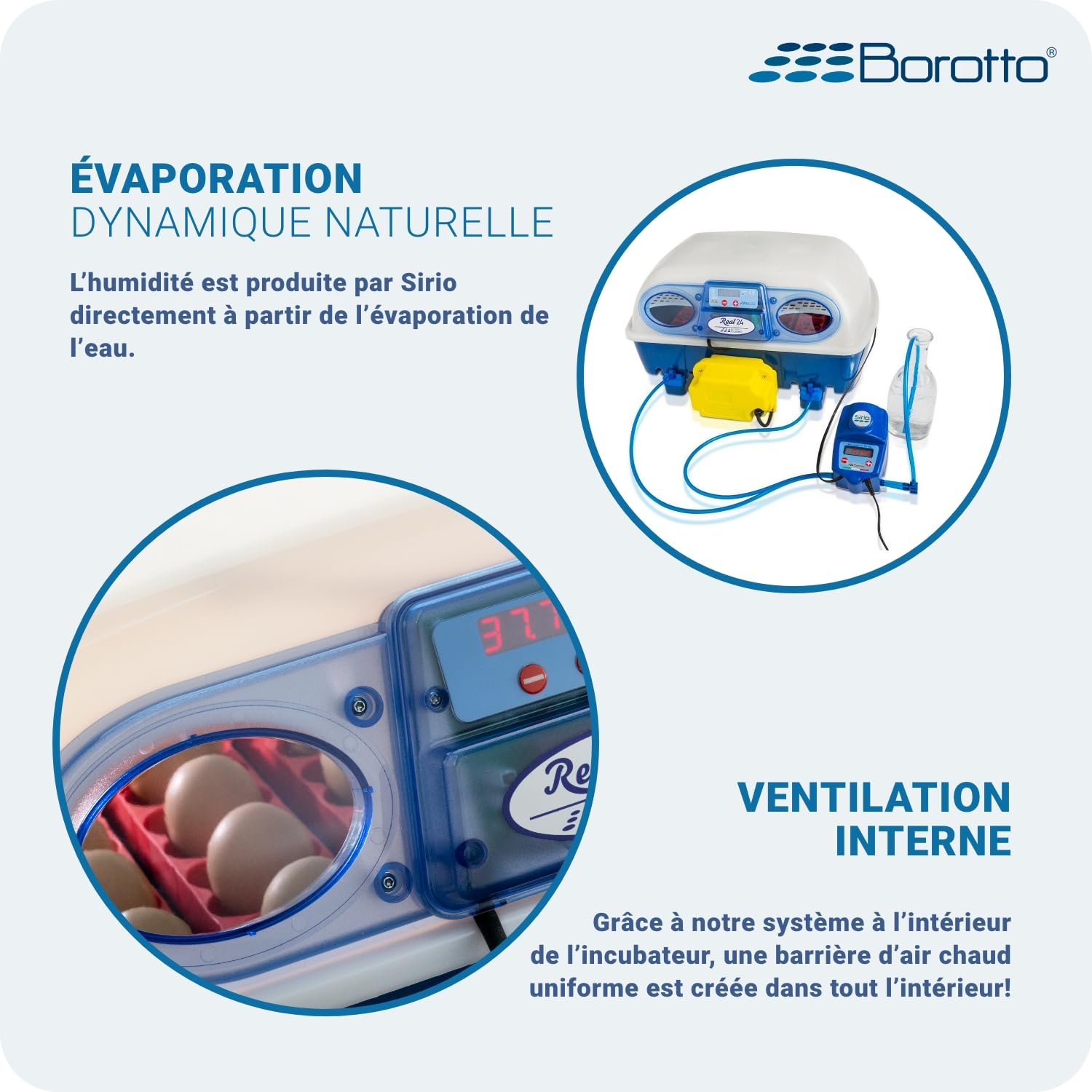 Borotto Real 24 Expert couveuse 24 œufs humidificateur Sirio