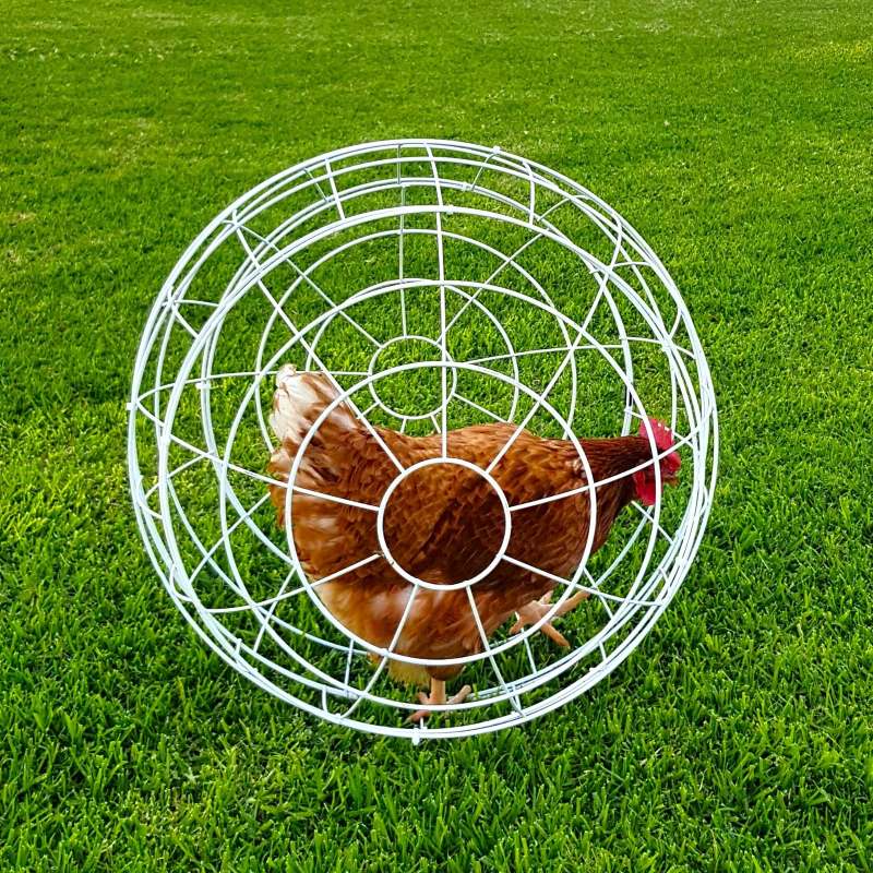 Gaun Volailles sphère pour poules mobile protection