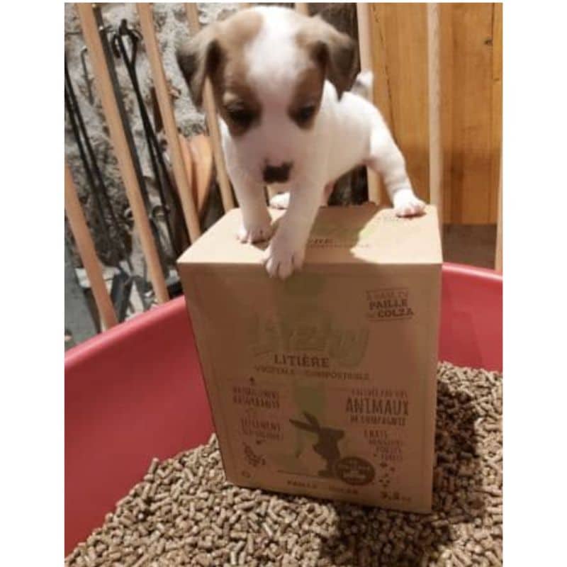 Cot Cot House Chat et lapin litière colza Litzhy boîte 6L
