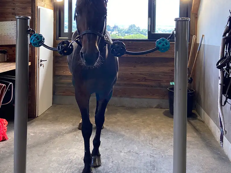 IDS CLIP HORSE dalle pansage caoutchouc puzzle antidérapante