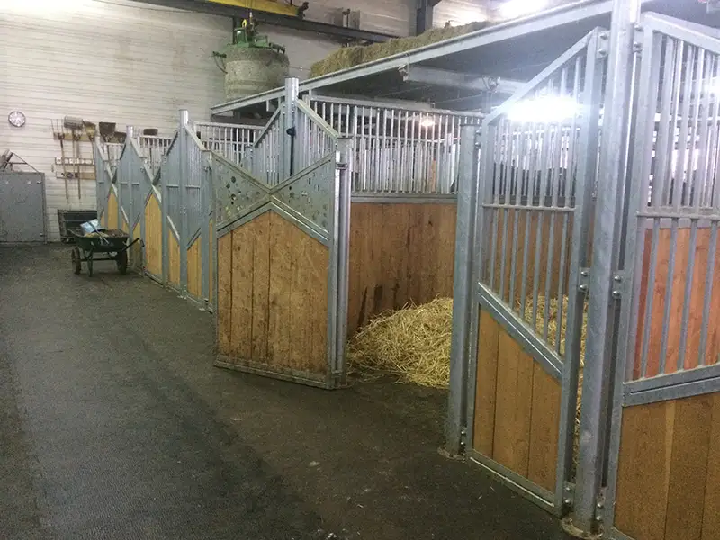 IDS Clip Horse dalle box puzzle caoutchouc drainante