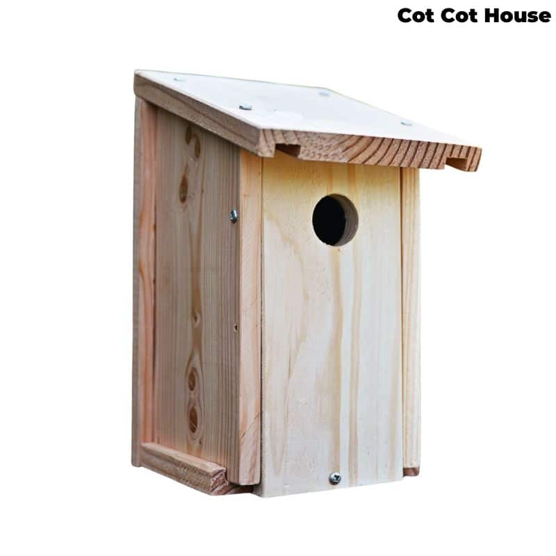 Cot Cot House Nichoir oiseaux mésanges kit bois