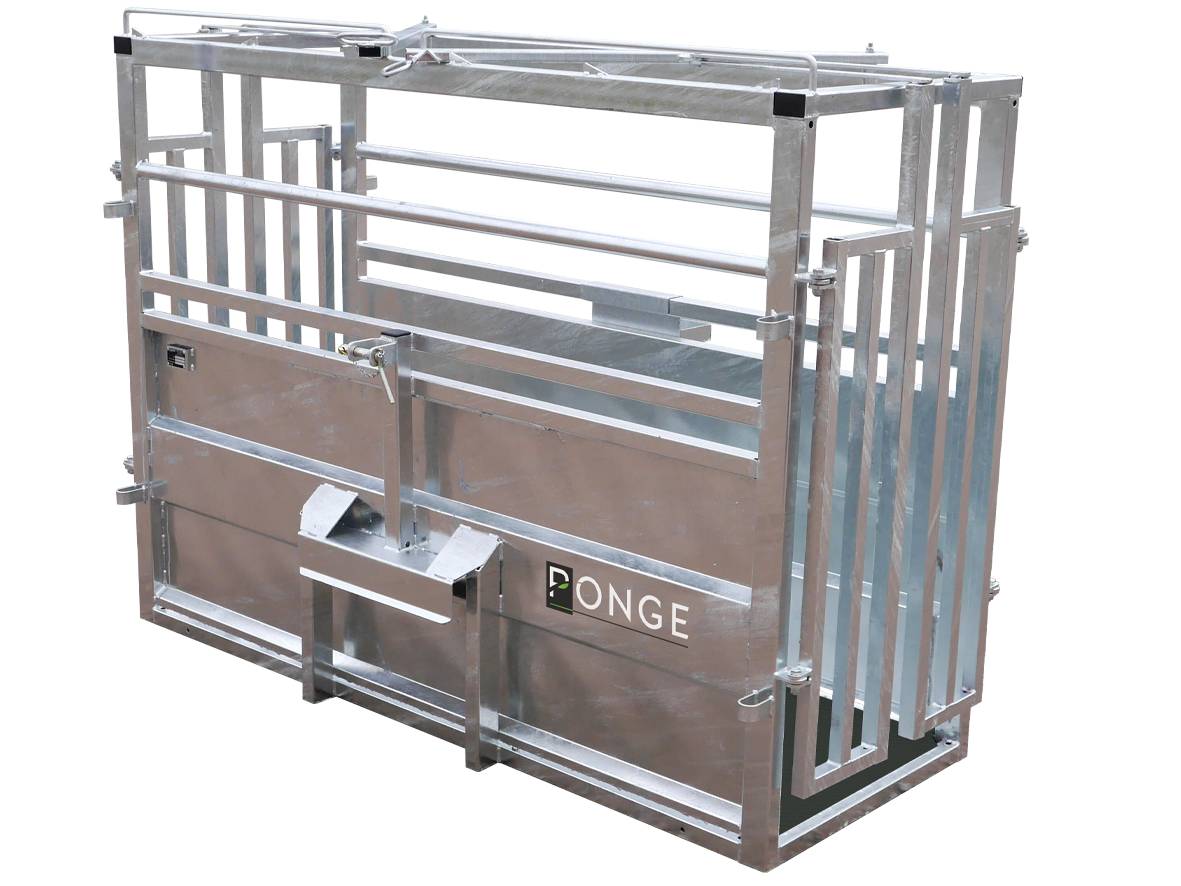 Ponge Contention fixe Cage de contention bovins acier