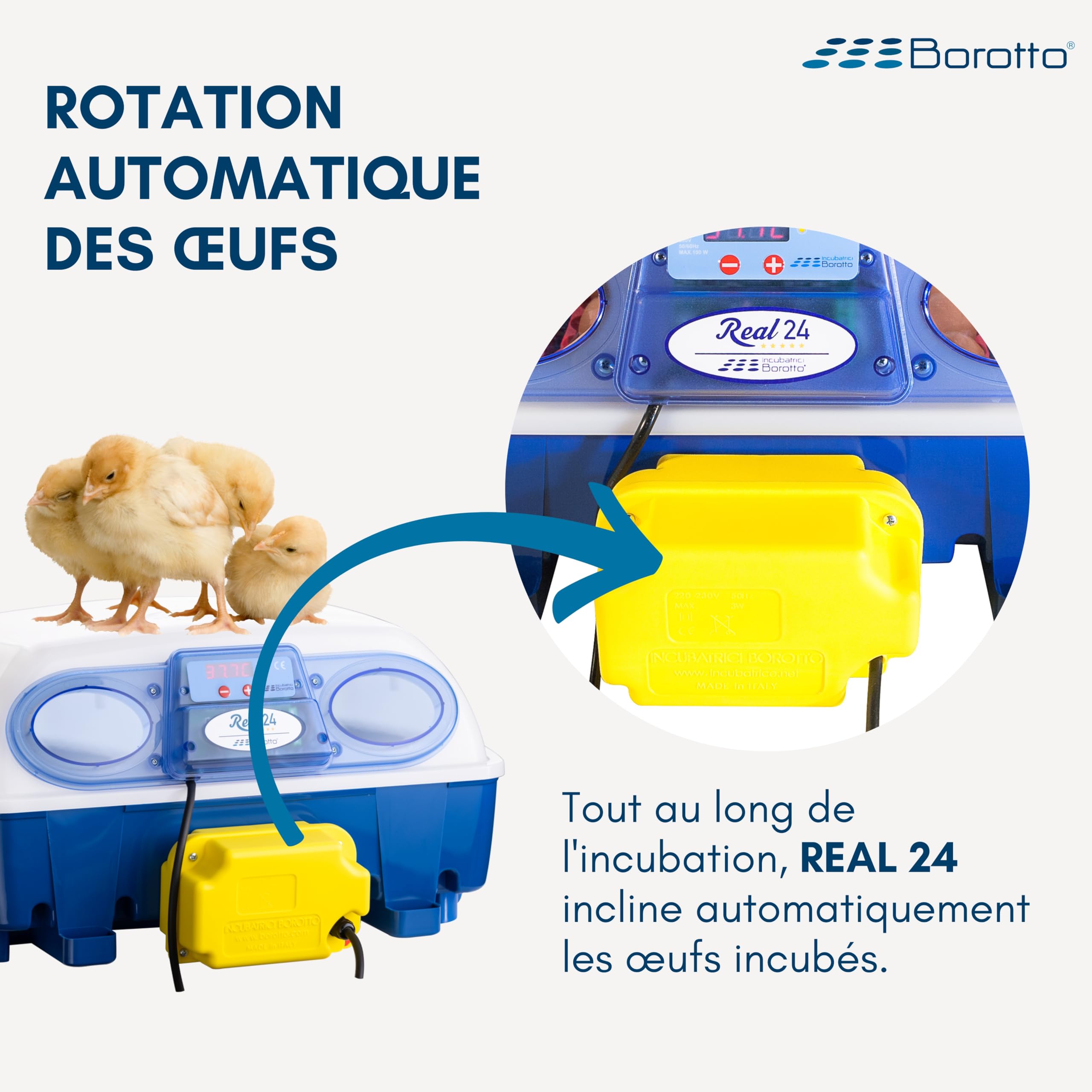 Borotto Real 24 couveuse automatique 24 œufs retournement auto