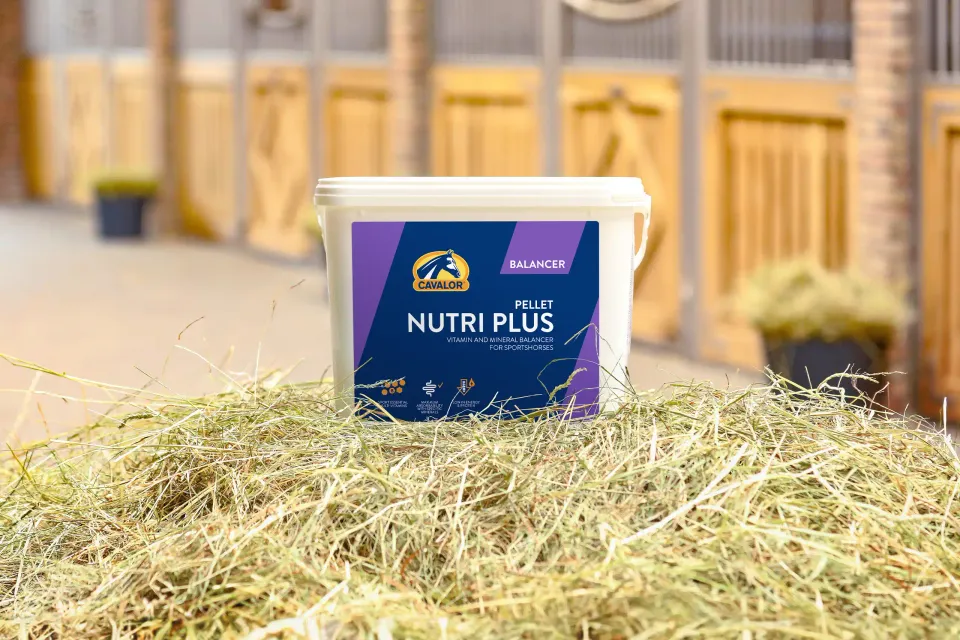 Cavalor Balancers Nutri Plus complément vitamines cheval