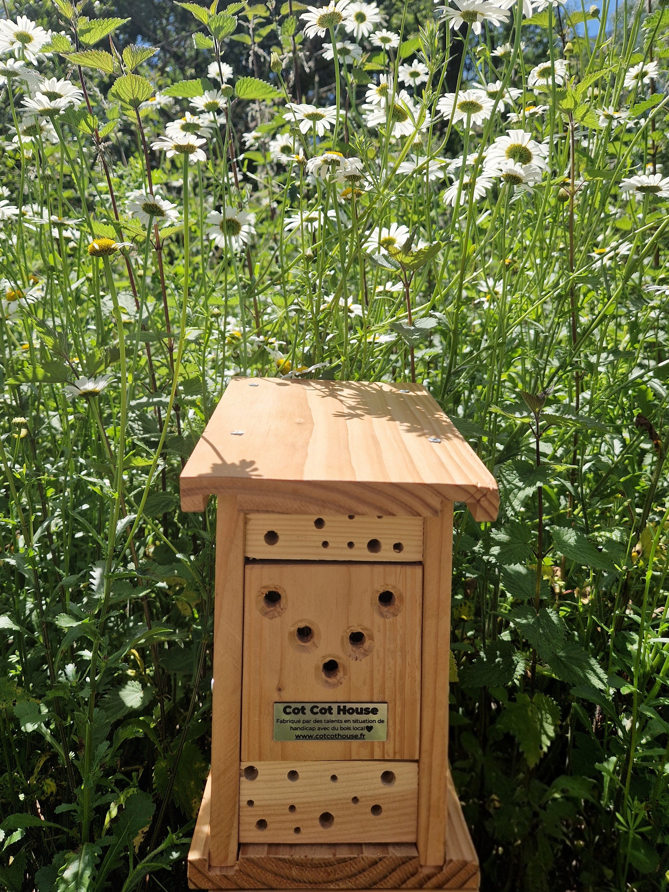 Cot Cot House Hôtel à insectes kit auxiliaires abeilles solitaires