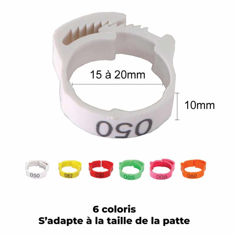 Cot Cot House bagues marquage poules 20-15 mm 6 pièces