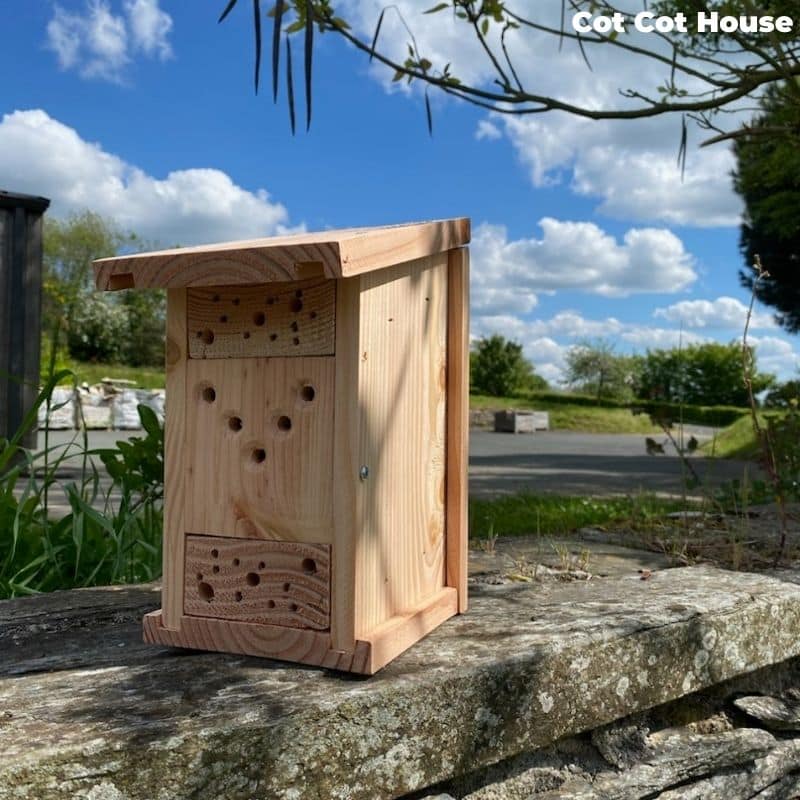 Cot Cot House Hôtel à insectes kit auxiliaires abeilles solitaires