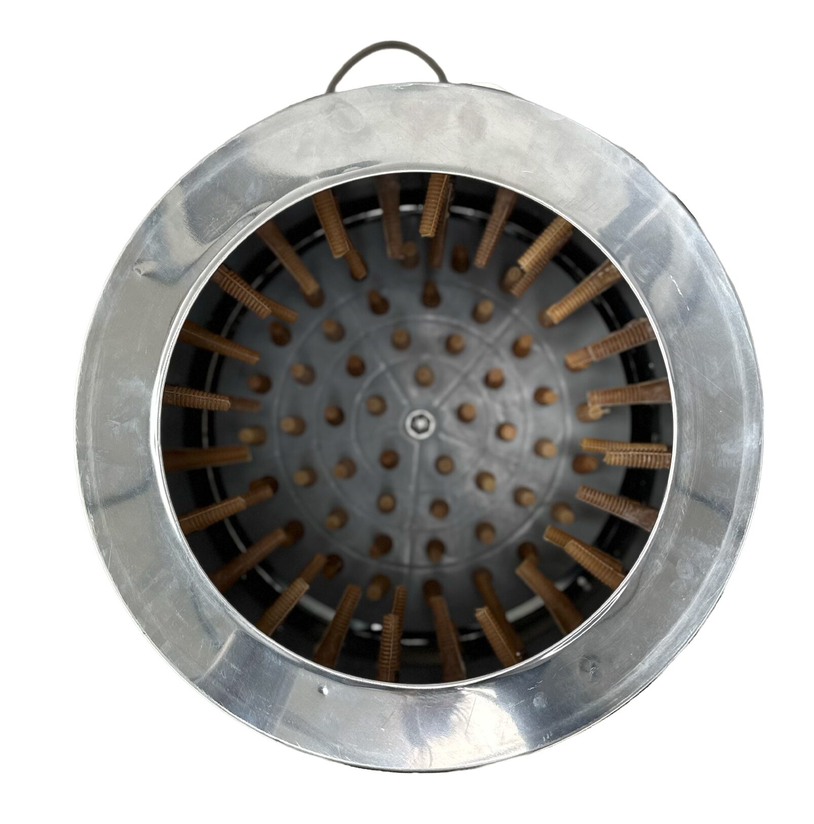 Gaun Plumeuse Cylindrique Inox Volailles Élevage
