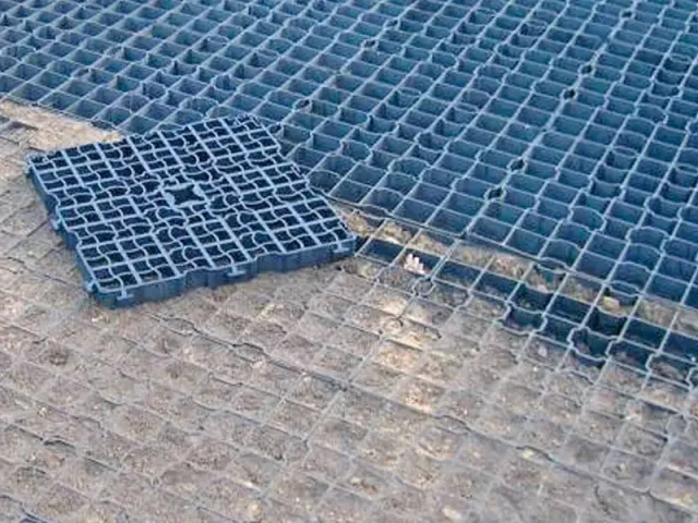 IDS Green dalle de stabilisation sol extérieur 50x50 vaches