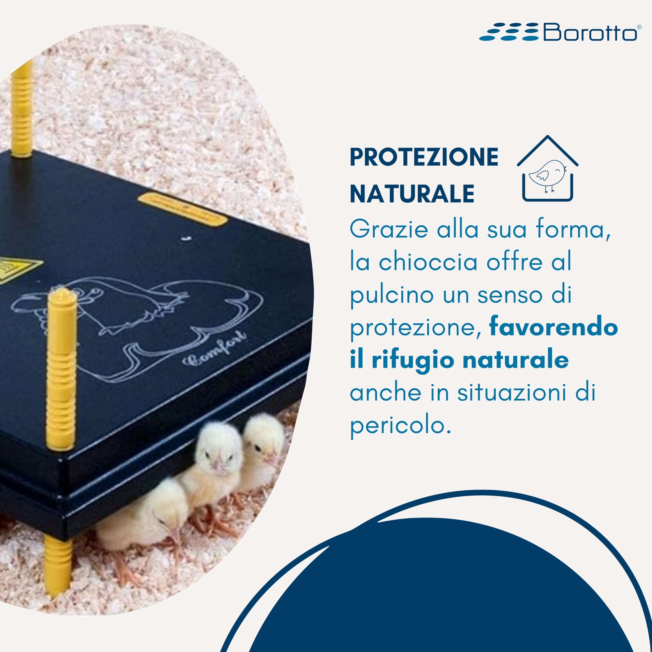 Borotto plaque chauffante poussins 50/55 50W thermostat