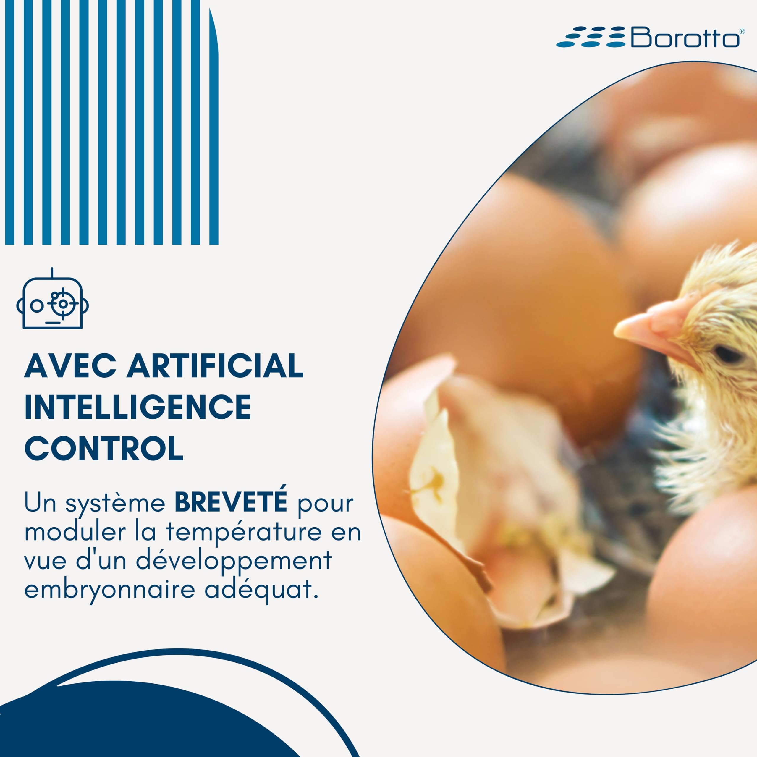Borotto Real 49 Plus Expert couveuse 49 œufs Sirio bleue