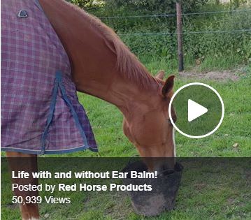 Red Horse Skin Care Ear Balm baume oreilles cheval