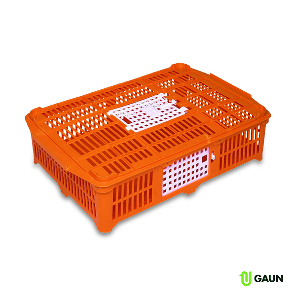 Gaun Gibier Cage Transport Poussins Cailles Plastique