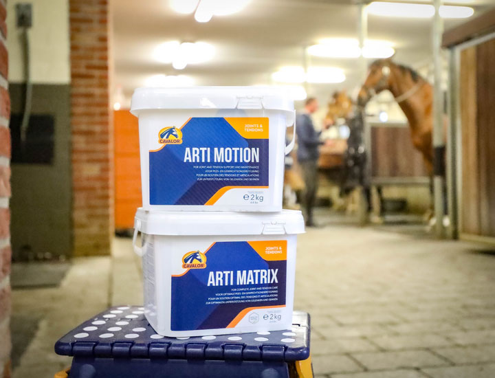 Cavalor Arti Motion complément articulations cheval