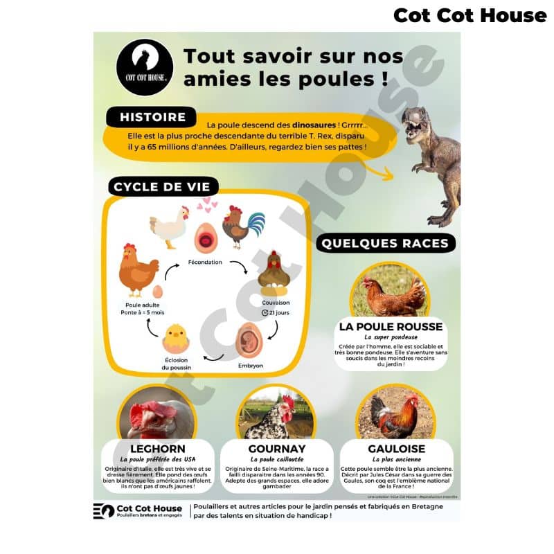 Cot Cot House PA6080-ANAT panneau affichage pédagogique dibon