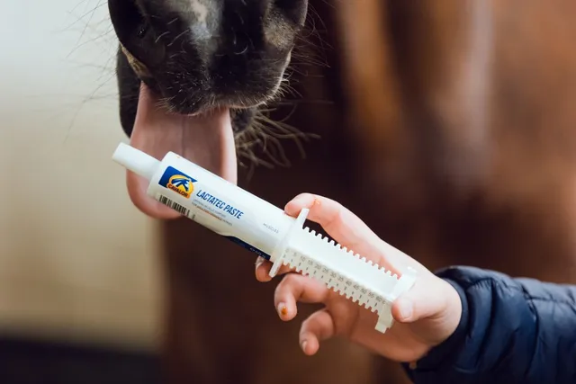 Cavalor Muscles LactaTec Paste complément cheval seringue