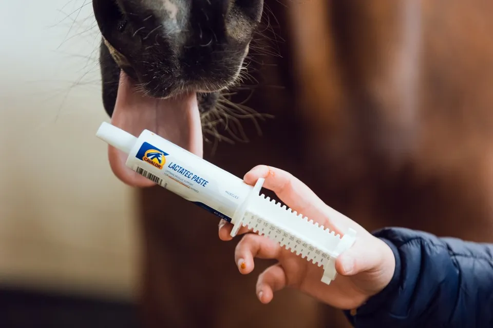 Cavalor Muscles LactaTec Paste complément cheval seringue