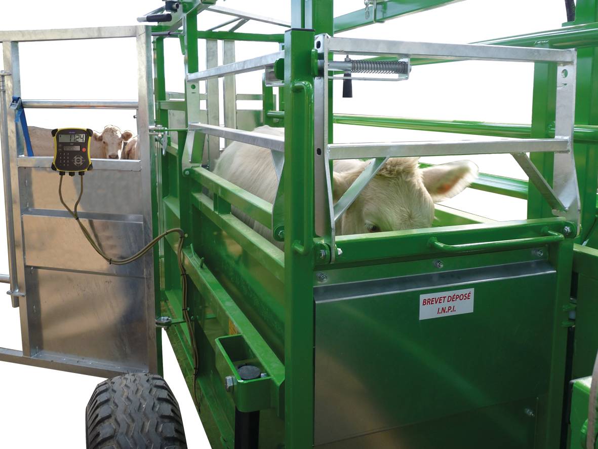 Ponge Contention agricole mobile couloir de contention bovins