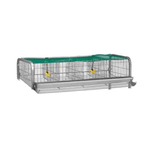 GAUN Gibier Panier Caille sans Pieds 4 Cases - Transport