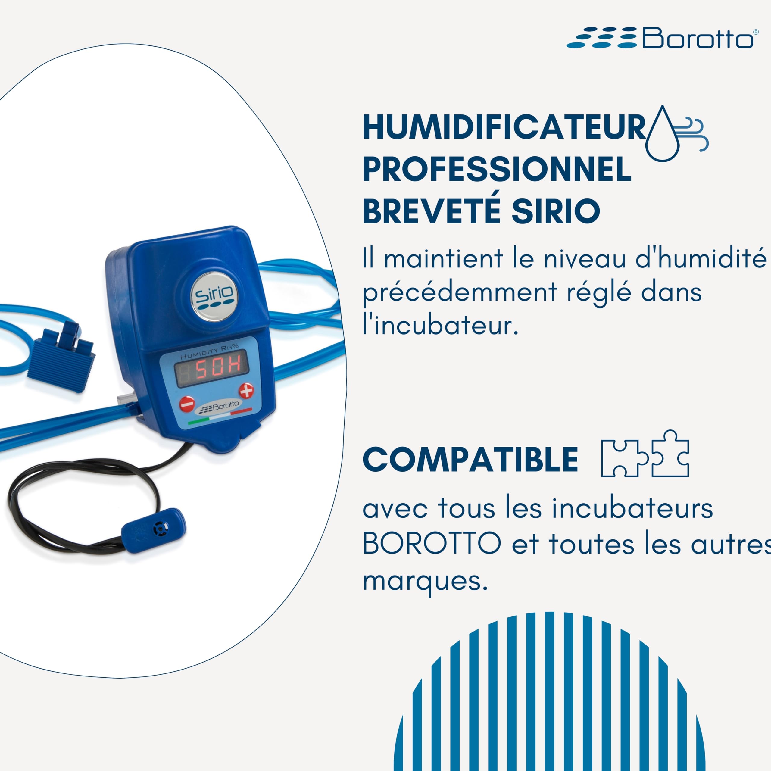 Borotto Real 49 Plus Expert couveuse 49 œufs Sirio bleue