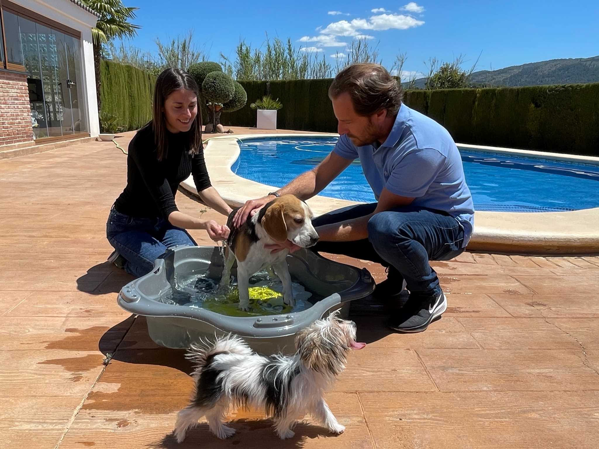 GAUN Chiens Loboo baignoire anthracite plastique