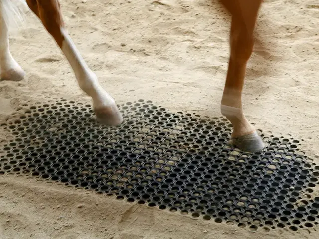 IDS M25-M69 caillebotis marcheur caoutchouc cheval