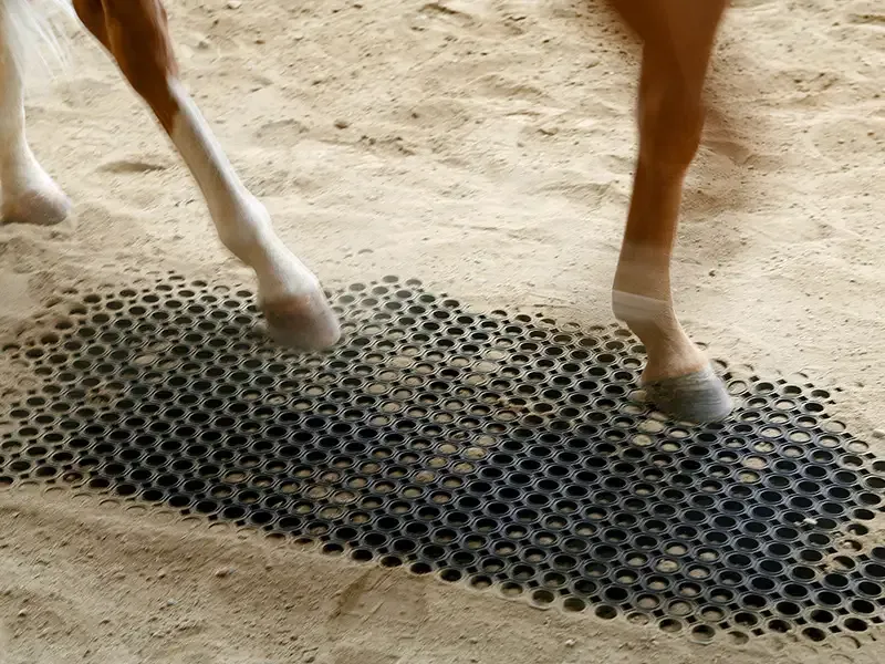 IDS M25-M69 caillebotis marcheur caoutchouc cheval